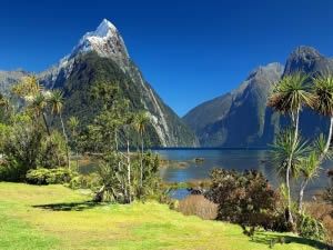 Séjour linguistique Nouvelle-Zélande